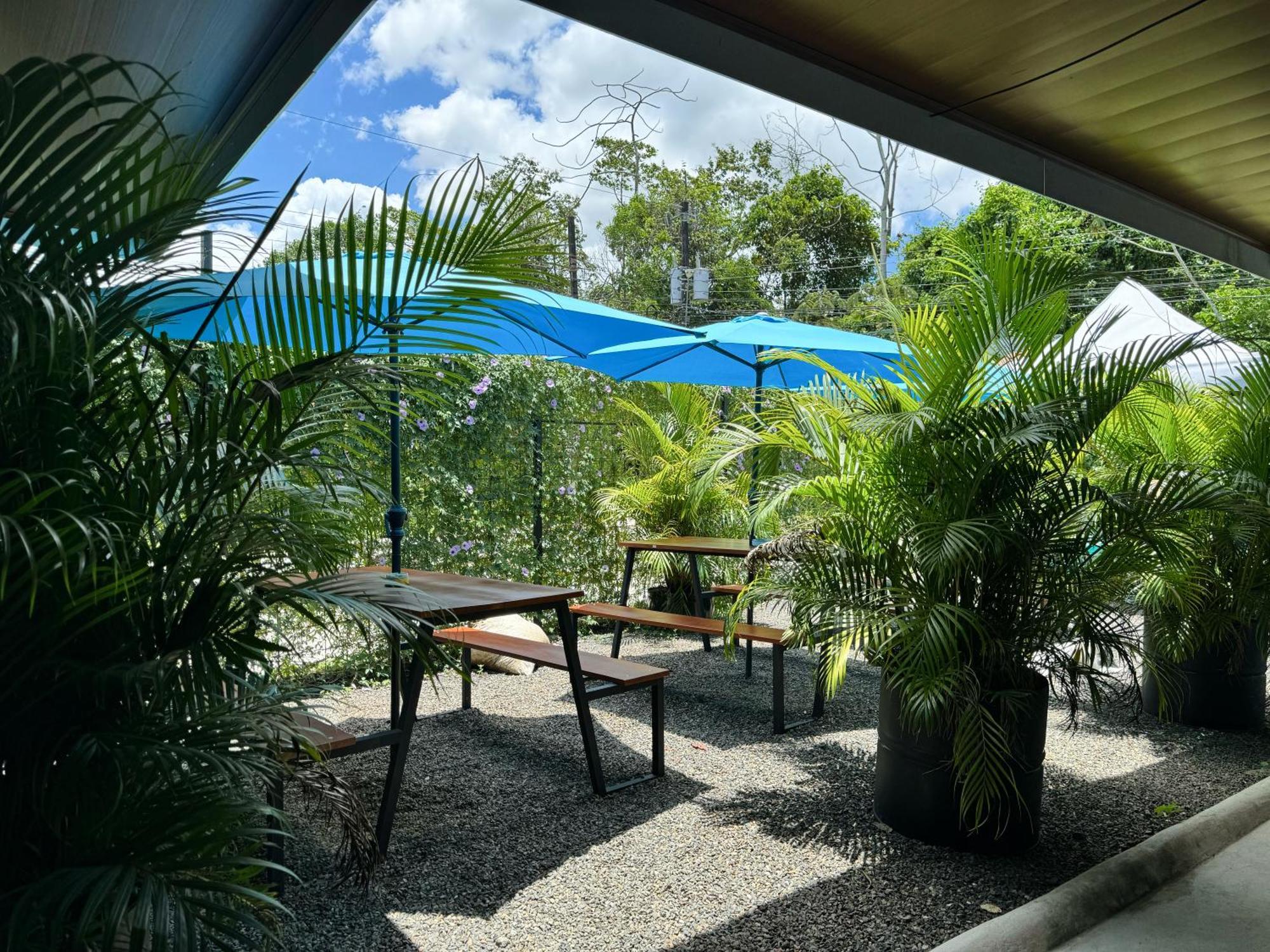 Pura Vibra Hostel La Fortuna Eksteriør bilde