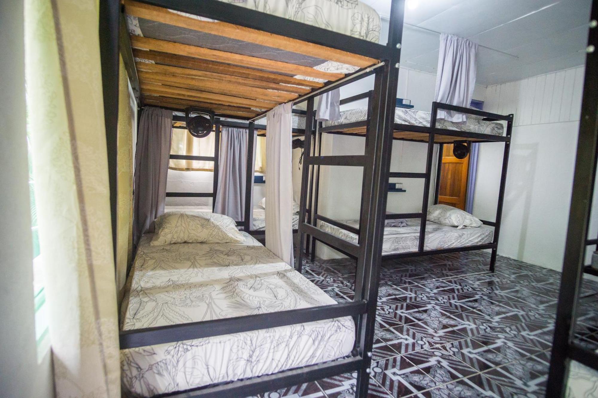 Pura Vibra Hostel La Fortuna Rom bilde